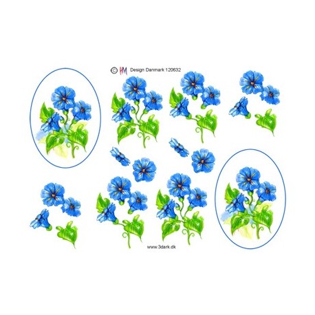 Blå blomster i oval ramme, 3D ark