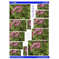 Løjtnantshjerte, Pyramide 3D ark