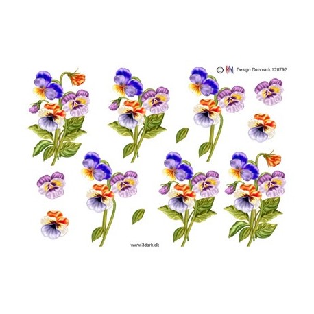 Stedmoderblomster, 3D ark