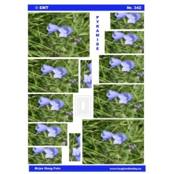 Klokkeblomst, Pyramide 3D ark