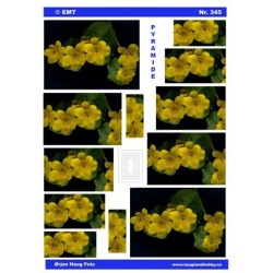 Smørblomster, Pyramide 3D ark