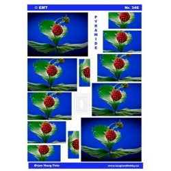 Skovjordbær, Pyramide 3D ark