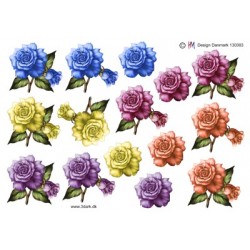 Roser i 5 skønne farver, 3d ark