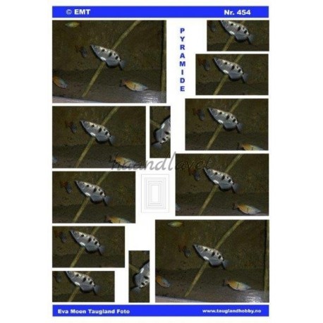 Fisk, Pyramide 3D ark