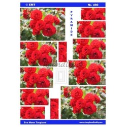 Røde roser, Pyramide 3D ark