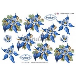 2 smukke blomsterhoveder i blå, 3D ark